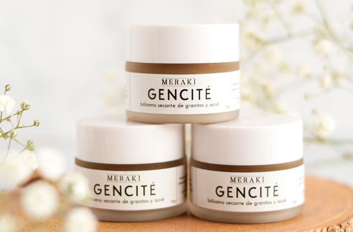 meraki-gencite2